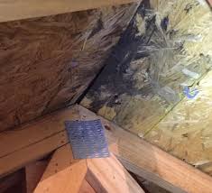 Color wood prior to finishing for a brilliant and beautiful look. How To Remove Black Mold From Wood Removal Guide