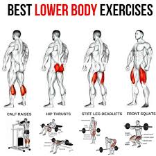 Pin By Chad Coles On Sport And Exercise Lower Body Workout Fitness Body Leg Workouts Gym