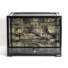 Amazon Com Repti Zoo Reptile Glass Terrarium With Foam Backgrounds Double Hinge Door With Screen Ventilation Rep Reptile Terrarium Terrarium Tank Small Pets