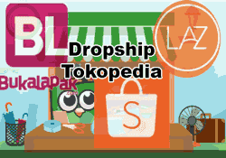 Cara dropship dari aliexpress ke shopee so anda nak buat duit dengan shopee dropshipping , tetapi tidak tahu bagaimana processnya bagaimana nak set shipping , dan juga bagaimana anda nak buat duit dengan products dropshipping ? Tutorial Dropship Tokopedia Ke Shopee Blog Lif Co Id