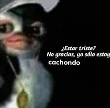 Pero te digo adiós, para. No Gracias Yo Nunca Pierdo Orslokx