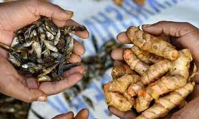 Masyarakta masih mengandalkan hasil dari alam dan tenaga manusia sebagai modal utama dalam kegiatan ekonomi. Sistem Ekonomi Tradisional Pengertian Ciri Ciri Kelebihan Dan Kekurangan