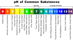 We did not find results for: How Ph Affects Oral Health Blog Professional Side Effect Support Llc