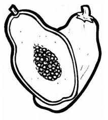 Melalui mewarnai kreatifitas dan imajinasi anak akan semakin berkembang. Gambar Mewarnai Buah Pepaya Gambar Buah Warna