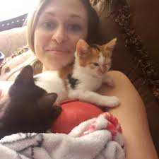 Cats bring joy and happiness