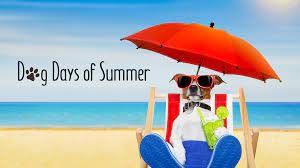 The july, august, and early september. The Dog Days Of Summer L E Phillips Memorial Public Library