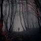 Tales of The Creepy and Scary