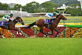 ラグビーw杯2019日本大会は、南アフリカが3度目の優勝を飾って幕を閉じた。 日本代表は予選4連勝で初のベスト8入りを果たし、自国開催の大会を盛り上げた。 東日本大震災 福島第一原発 津波 吉田昌郎 チェルノブイリ 厚生労働省 新型コロナウイルス fnnニュース 肺炎 感染症. 2020å¹´ Nhkãƒžã‚¤ãƒ«ã‚«ãƒƒãƒ— Jra
