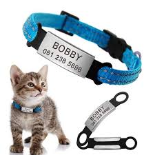 Custom Slide On Dog Id Tag Small Dog Id Tag Pet Id Tag Dog Etsy In 2020 Personalized Dog Tags Puppy Collars Custom Dog Tags