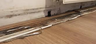 Choose the shape of your toilet bowl. How To Fix Water Damage On Baseboards 8 Critical Diy Steps