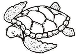 These free, printable halloween coloring pages for kids—plus some online coloring resources—are great for the home and classroom. Free Printable Turtle Coloring Pages For Kids Turtle Coloring Pages Animal Coloring Pages Bear Coloring Pages