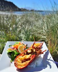 10 Of The Best Foodie Experiences In The World New Zealand Food Food Experiences Foodie