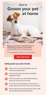 Browndog lodge veterinary clinic, originally pet health center, was established by dr. 170 Pet Health Care Infographics Ideas Pet Health Pet Care Pet Care Tips
