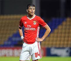 * see our coverage note. Benfica Quer Manter Diogo Goncalves No Plantel I Liga Sapo Desporto