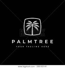 See coconut logo stock video clips. Coconut Tree Logo Vector Photo Free Trial Bigstock