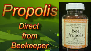 It is a resin that bees create from harvesting sap flows in trees and tree buds mainly, but they can also produce it from other flowers. Propolis From Nature Youtube