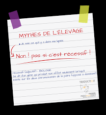Accompagner votre quotidien d'enseignant de fle. Merci Mon Chien Education Canine Bienveillante Eduquer Son Chien Conseils Articles Liens Humeurs