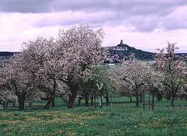 Obstbaume Und Beerenobst Aus Der Baumschule Rinn In Giessen Gartenbaumschule In Mittelhessen Mit Historischen Regionalsorten Germany Travel Outdoor Germany