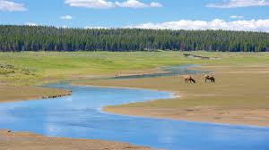 Maybe you would like to learn more about one of these? Yellowstone National Park Us Vacation Rentals Cabin Rentals More Vrbo