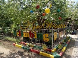 Indeks pembangunan manusia kabupaten bojonegoro 2019. Wisata Kebun Buah Belimbing Ngringinrejo Bojonegoro Pilihan Tepat Berlibur Dengan Keluarga