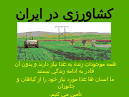 نتیجه تصویری برای جواب مطالعات اجتماعی درس 5 عوامل مؤثر در کشاورزی