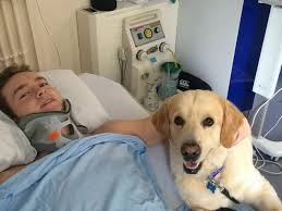 Owen Williams' injury: Rugby star's best friend opens up