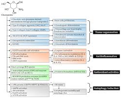 Multifaceted Protective Role of Glucosamine against Osteoarthritis: Review  of Its Molecular Mechanisms