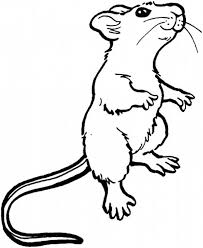 Mouse And Rat Smelling Food In Distance Coloring Pages Bulk Color In 2020 Animal Coloring Pages Drawings Coloring Pages