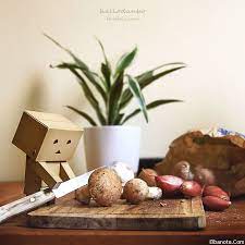 صور فوتوغرافية رائعة لدانبو الشهير photographic projects danbo photography projects