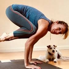 2,334 likes · 17 talking about this · 373 were here. Https Www Yogaalliance Org Teacherpublicprofile Tid 8002