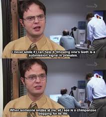 33 Dwight Schrute Jokes That Still Make You Laugh Every Time The Office Dwight Office Humor Office Memes