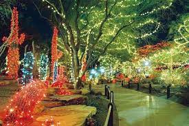 Map of hotels around cactus gardens mobile home park, az. The Ethel M Holiday Cactus Garden In Las Vegas Las Vegas Resorts Vegas Attractions Las Vegas Entertainment