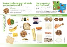 protein chart