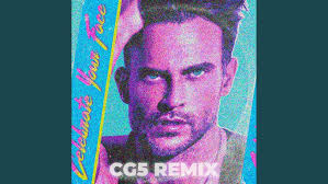 Celebrate Your Face (CG5 Remix)