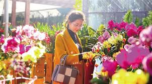 Huāshì), colloquially known as huarshi and literally the flower market, is a predominantly residential neighborhood to the south of chongwenmen and dongbianmen in dongcheng district, beijing. æµ·å—è¿Žæ˜¥èŠ±å¸‚å¼€å¹•ç™½å¤©é€›èŠ±å¸‚æ™šä¸Šçœ‹èŠ±ç¯ æ¯æ—¥å¤´æ¡