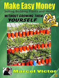 You can either choose to join either by signing up for free or pay for 500px prime. Make Easy Money Selling Bedding Plants And Herbs Without Growing Them Yourself Work From Home And Make Easy Money From Gardening Ebook Victor Marcel Amazon Co Uk Kindle Store