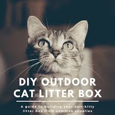 Use this to keep dog out of litter box and cat feeder. How To Build An Outdoor Cat Litter Box Pethelpful