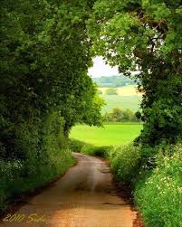 Broad Oak Kent England Country Roads English Countryside Landscape
