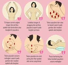 Barah payudara merupakan pembunuh utama kaum hawa dengan hampir separuh dari wanita yang. Ketahui Tanda Awal Kanser Payudara Encikshino Com