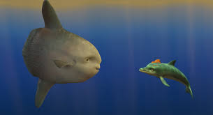 Los primeros rayos del sol matutino se filtraron suavemente a través de las nubes, revelando la primitiva belleza de un remoto atolón que relucía como una joya en medio de un mar profundo y azul. Nuevas Imagenes De El Delfin La Historia De Un Sonador Cinencuentro