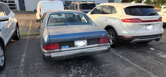 Image result for Light Charcoal 1984 Tempo