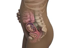 Even women who aren't planning to have a baby a baby's neural tube is formed and closed in the first four to six weeks of pregnancy. Pregnancy Week By Week Babycenter