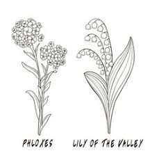 Lily Of The Valley Line Drawing Vector Images Over 100 100% cotton hot pressed paper. vectorstock