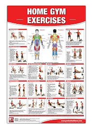 weider home gym exercise chart weightlifting posters chart