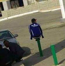 Trefoil ikinci adidas logosu oldu. Keko Nedir Gulunc Makale Tb Science