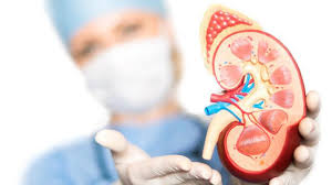 Maybe you would like to learn more about one of these? Waspada Penderita Hipertensi Dan Diabetes Berisiko Alami Penyakit Ginjal Kronis Regional Liputan6 Com
