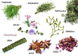 images?q=tbn:ANd9GcQhYHzuqWdgh0 Tk0Pfj