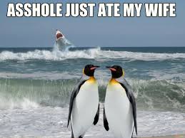 The wolves were now permanently mute out of almost three week long perpetual fear of the penguin, and this was agreeable to the penguin, who was much pleased, contrary to the redundancy of the latter part of this sentence where he certainly was not pleased. ― j.s. 16 Penguin Memes That Are Too Adorbs For Words Word Porn Quotes Love Quotes Life Quotes Inspirational Quotes