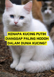 Kuda Akhal Teke: Kuda Tercantik di Dunia