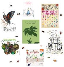 Ou Es Tu Coquelipop Bibliok Lipop Les Insectes Merci Montessori Insectes Livre Enfant